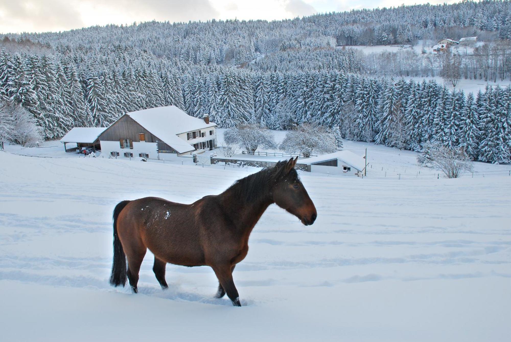 Bed & Breakfast D'hotes Kieffer Le Grand Bienfaisy *