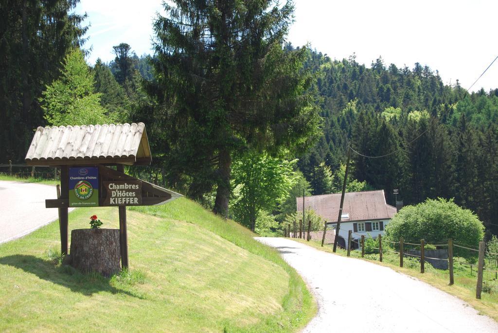 D'hotes Kieffer Le Grand Bienfaisy Bed & Breakfast